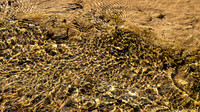 Death Valley, 2019