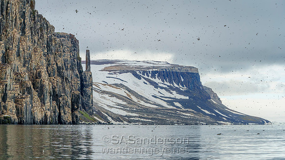 Alkefjellet Bird Cliffs