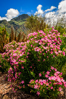 South Africa