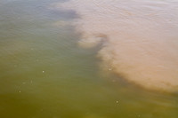 Nile River Origins 2010