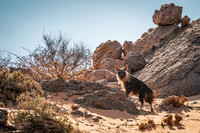 Namibia 2019