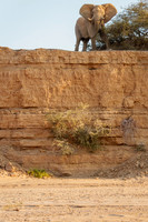 Namibia 2021