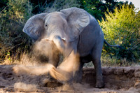 Zambia, Botswana 2004