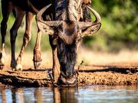 Botswana