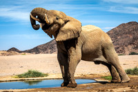Namibia, Botswana, Spring 2018