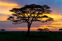 Tanzania 2022