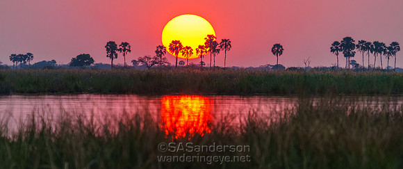Setting sun