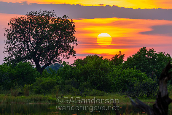 Sunrise